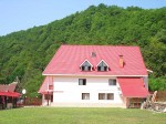 фото Фламинго